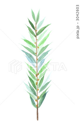 木の葉のイメージ　緑色 3042603