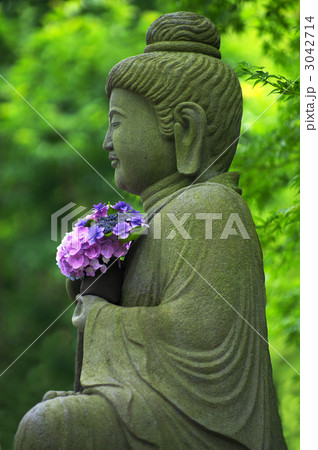 紫陽花と石仏 紫陽花と石仏 3042714