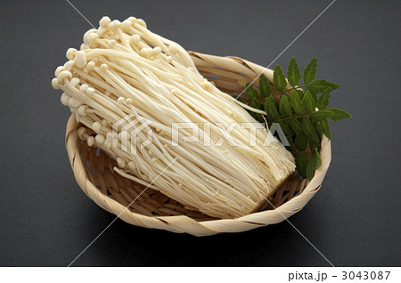 椎茸 椎茸 3043087