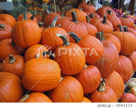 ハロウィンかぼちゃ 3043215