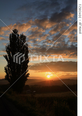 ケンとメリーの木と日の出 3043821