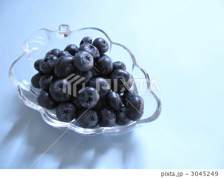 ブルーベリー 3045249