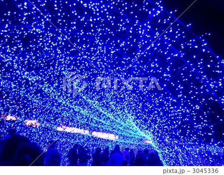 「なばなの里」のイルミネーション 3045336