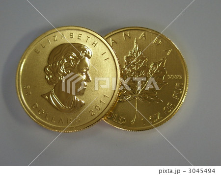金貨 3045494