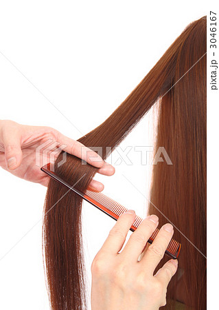 ブラッシング ブラッシング 3046167