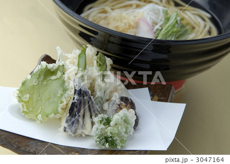 野菜天ぷらうどん 3047164