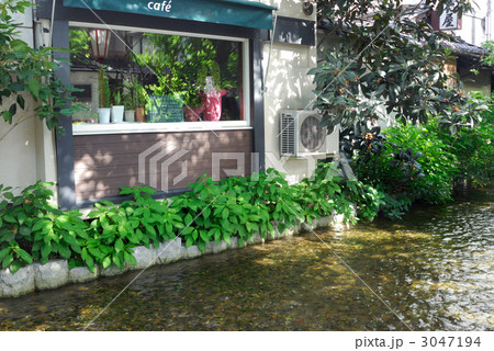 川沿いのカフェ 川沿いのカフェ 3047194