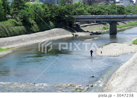 鴨川で鮎釣り 3047238