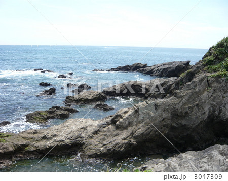 佃嵐崎（つくだらし） 3047309