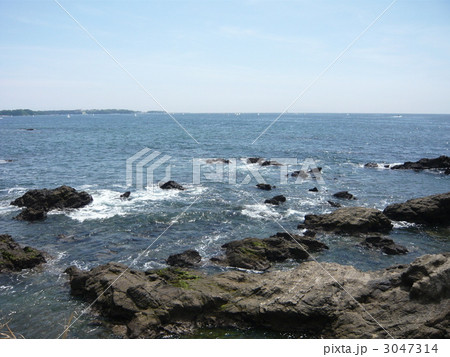 佃嵐崎（つくだらし） 3047314