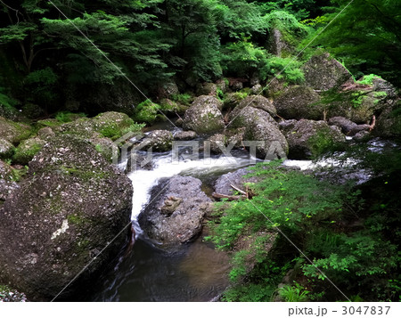 袋田の滝~夏-水量大-滝つぼより下流側を望む(横カット) 袋田の滝~夏-水量大-滝つぼより下流側を望む(横カット) 3047837