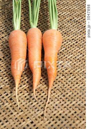 人参にんじん 3047898