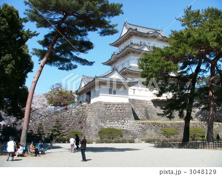小田原城 小田原城 3048129
