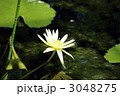 3048275