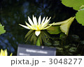 3048277