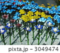 ガラスの花畑 3049474