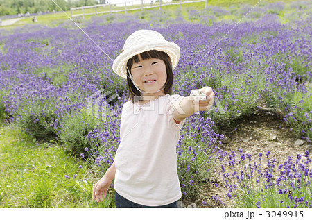 チョウと女の子 3049915