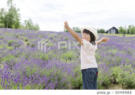 ラベンダーと女の子 3049988