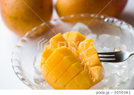 3050361