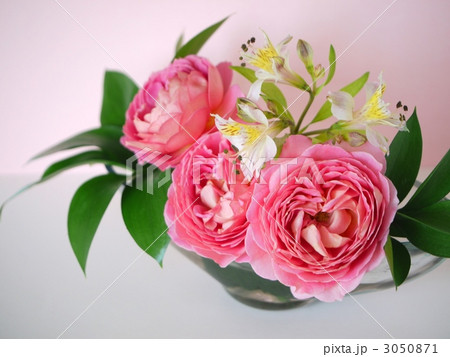 ジュビリーセレブレーションとアルストロメリアのアレンジ ジュビリーセレブレーションとアルストロメリアのアレンジ 3050871