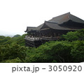 清水寺 3050920