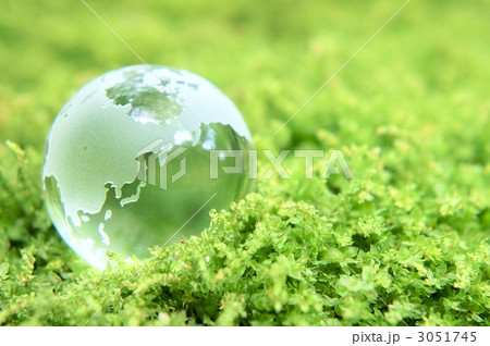 地球儀 コケ 地球儀 コケ 3051745