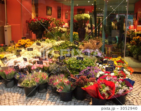 パリ　花屋　花　店舗　店先 3052940