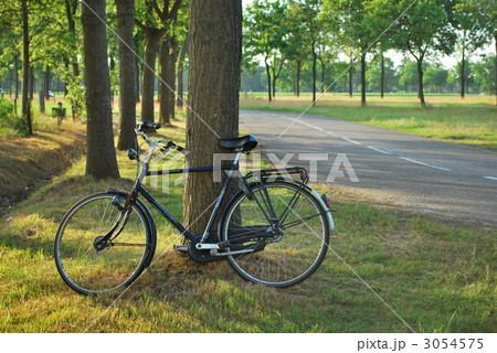 自転車 自転車 3054575