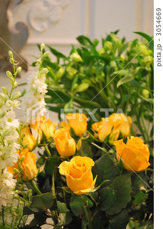 黄色のバラ 黄色のバラ 3054669