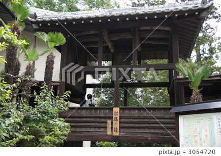 少林山達磨寺 3054720