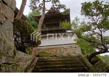 大雲寺のハス 3054779