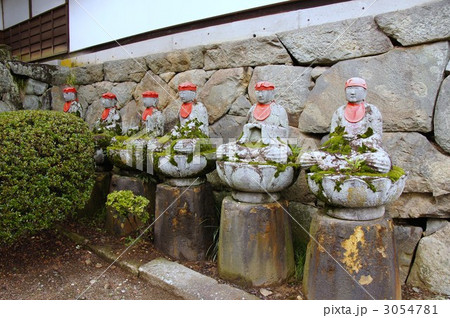 大雲寺のハス 3054781