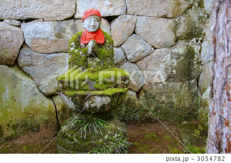 大雲寺のハスの花 3054782