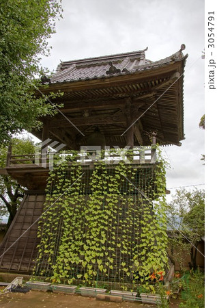 大雲寺のハス 大雲寺のハス 3054791