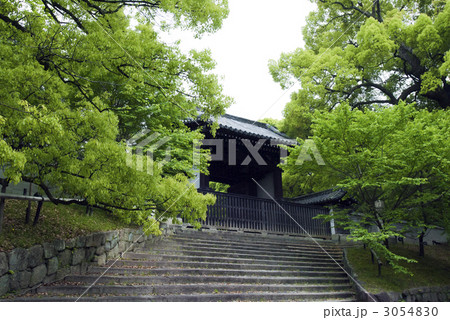 青蓮院門跡 四脚門 青蓮院門跡 四脚門 3054830
