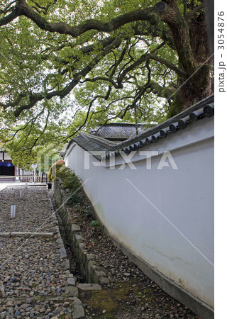 青蓮院門跡 3054876