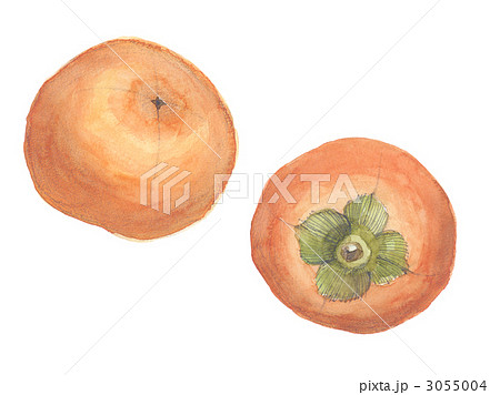 富有柿　2個 3055004