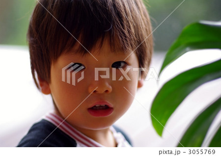 観葉植物と子供 3055769