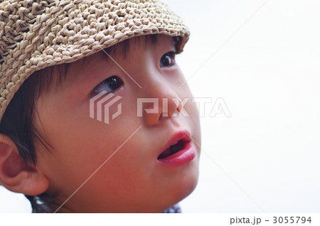 夏の子供 夏の子供 3055794