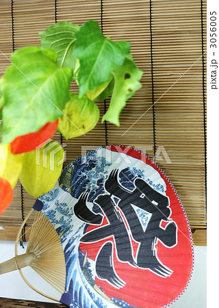 夏の風物鬼灯と祭団扇縦位置 3056005