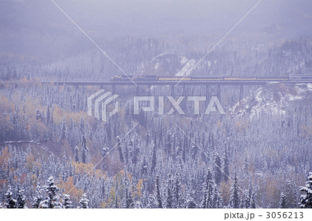 鉄橋を行くアラスカ鉄道 鉄橋を行くアラスカ鉄道 3056213