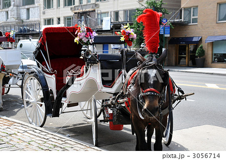 ニューヨーク 馬車 ニューヨーク 馬車 3056714
