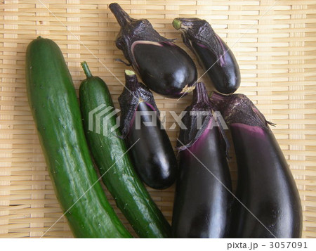 ナスとキュウリ 3057091