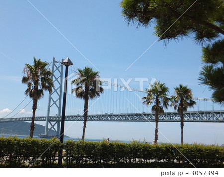 椰子と松と明石海峡大橋 椰子と松と明石海峡大橋 3057394