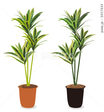 グリーン 3057934