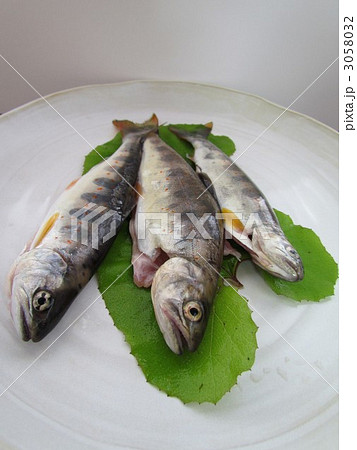 アマゴ3匹 3058032