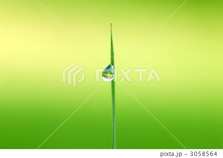 一滴（ひとしずく）の水 3058564