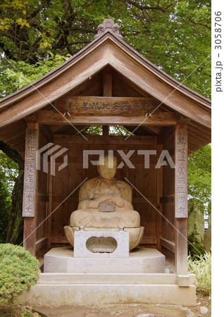 大雲寺のハスの花 3058706