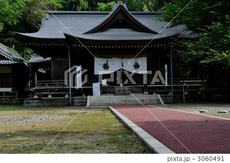秦神社 秦神社 3060491