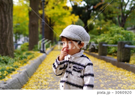 銀杏並木と子供 銀杏並木と子供 3060920